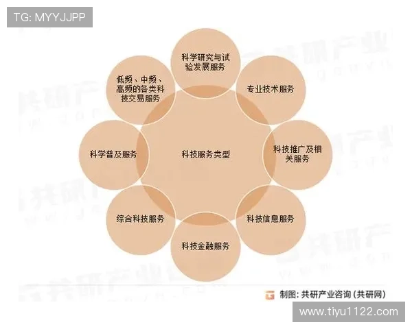 永利高：全面解析其发展历程与未来趋势
